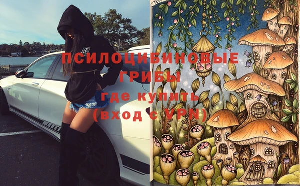 ALPHA PVP Алзамай